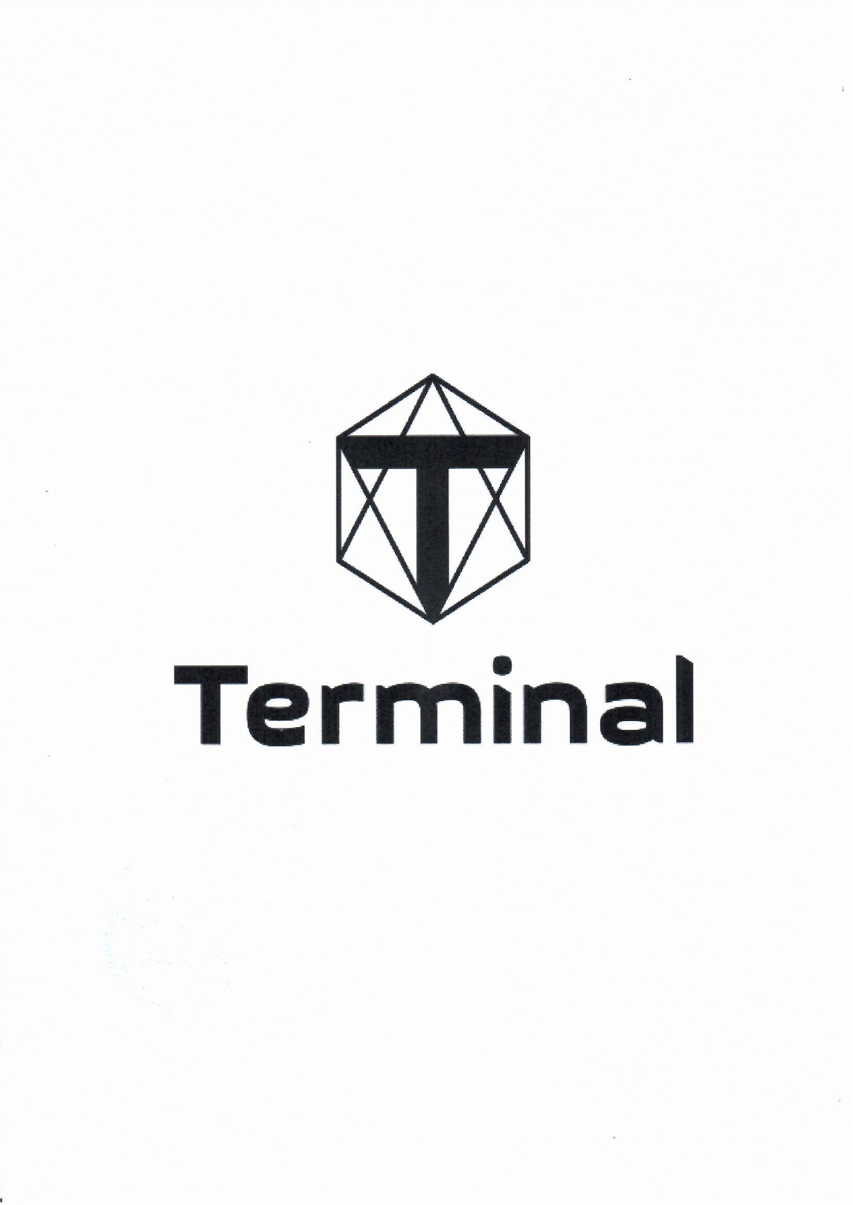 Дизельне паливо (Євро 5), АЗС TERMINAL, талон